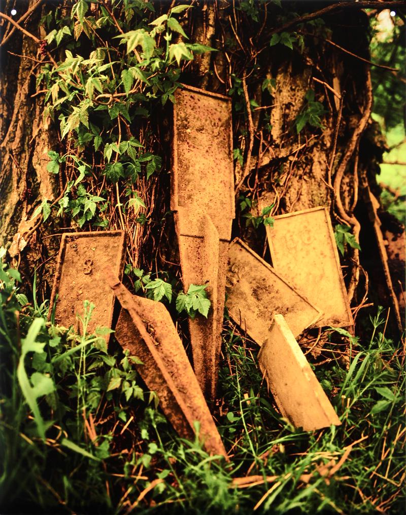 Lisa Rinzler (b. 1956) New Jersey: FAMILY OF MARKERS from The Grass is Green, 2002, printed chromogenic film on glass, signed in silver ink lower right verso, from the edition of 5, size 40 x 32”. From the collection of Laurie Fr