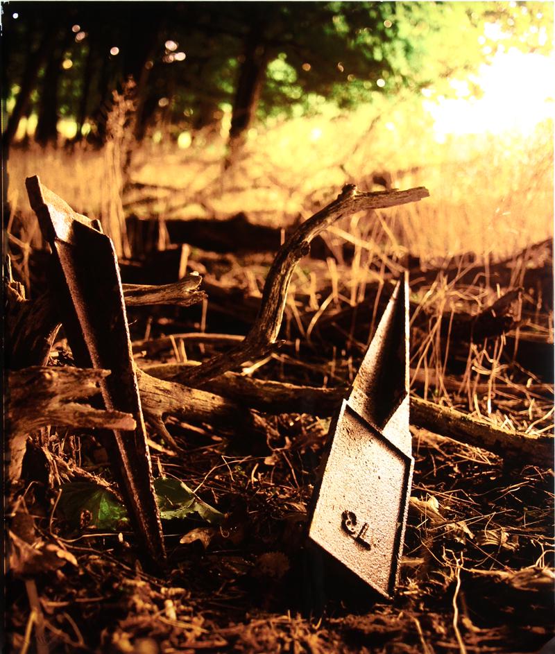 Lisa Rinzler (b. 1956) New Jersey: MARKER 73 from The Grass is Green, 2002, printed chromogenic film on glass, signed lower right verso, from the edition of 5, with hanging holes, 40 x 32”.