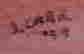 item-110742876=2