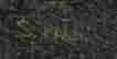 item-110742971=3