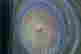 item-129602771=2