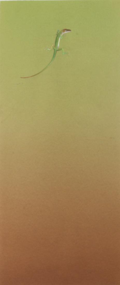 Bruce Richards  (20 th  Century) California (1 of 6)