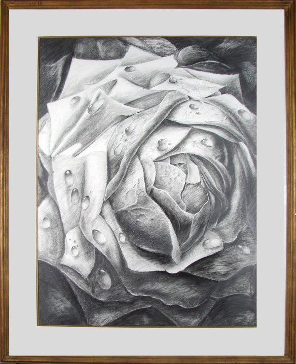 Contemporary School: ROSE, charcoal and graphite drawing on paper, signed and dated lower right, 49 x 37", Jerry Solomon custom frame.