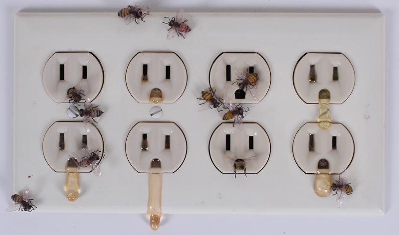 Sarah Perry  (20 th  Century) California (1 of 4)