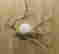 item-130998198=2