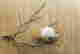 item-130998198=3