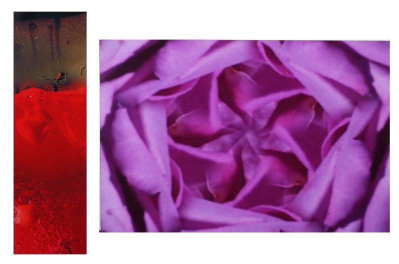 Cynthia Minet  (20 th  / 21 st  Century) California   &  Jessica Bronson  (b. 1963) California (1 of 9)