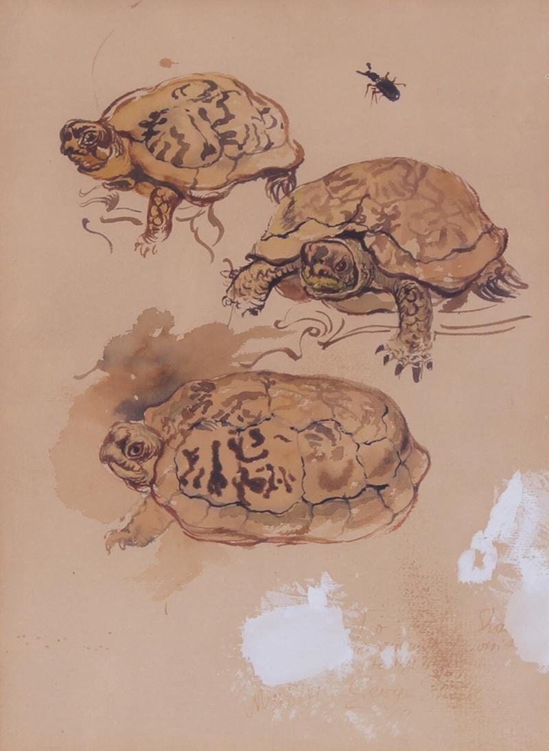George Grosz (1893-1959) German: STUDY OF TURTLES, 1941, watercolor on paper, faintly signed and dated and dedicated to Artie Shaw lower right, sight 10 ¾ x 7 ¾”, frame 16 x 13” with glass.