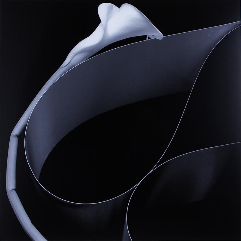 Jan Gordon (20 th / 21 st Century) Californian: HARMONIZE, 2015, archival pigment print, signed and numbered 3/20 on artistâ€™s certificate, sight 25 ¾ x 25 ¾”, frame 30 ¾ x 30 ¾” with Plexiglas.