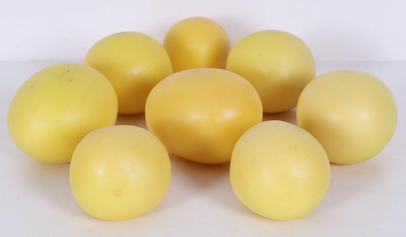 Julia Latane (20 th / 21 st Century) Arizona: LEMONHEADS, 2001, eight synthetic material balls, a signature not found, average 3” diameter. Provenance: Diana Zlotnick Collection.
