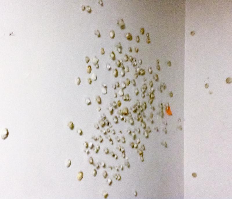 Jeanine Patterson Miles (1908-1990) American New York: UNTITLED NIPPLE INSTALLATION, 178 plaster nipples with nail points, average width 1” to 2”. Provenance: Diana Zlotnick Collection.