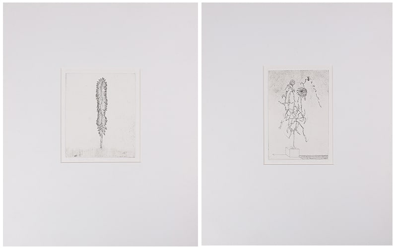 Arthur Okamura  (1932-2009) California  (two) (1 of 7)