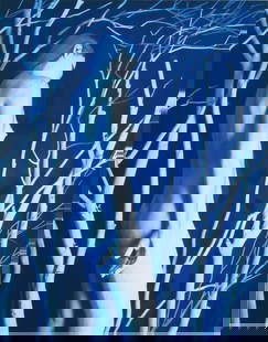 Thomas Michael Johnson (20 th / 21 st Century): WINTER, Cibachrome, signed and dated lower right, numbered 2/40 on artist’s label, sheet 20 x 16”, heavy frame with Denglass, 33 x 29”. Provenance: Skidmore Contemporary Art, Malibu (cur