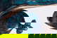 item-173183270=2