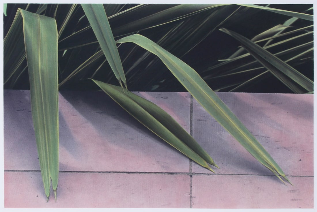 Alice Steinhardt (b. 1950) American: GARDEN WALL, color pigment print on mat or rag board, signed and numbered 11/15 and titled in ink on verso, image 17 ¾ x 26 ¾”, sheet 29 ¾ x 39”, frame 33 ¼ x 4