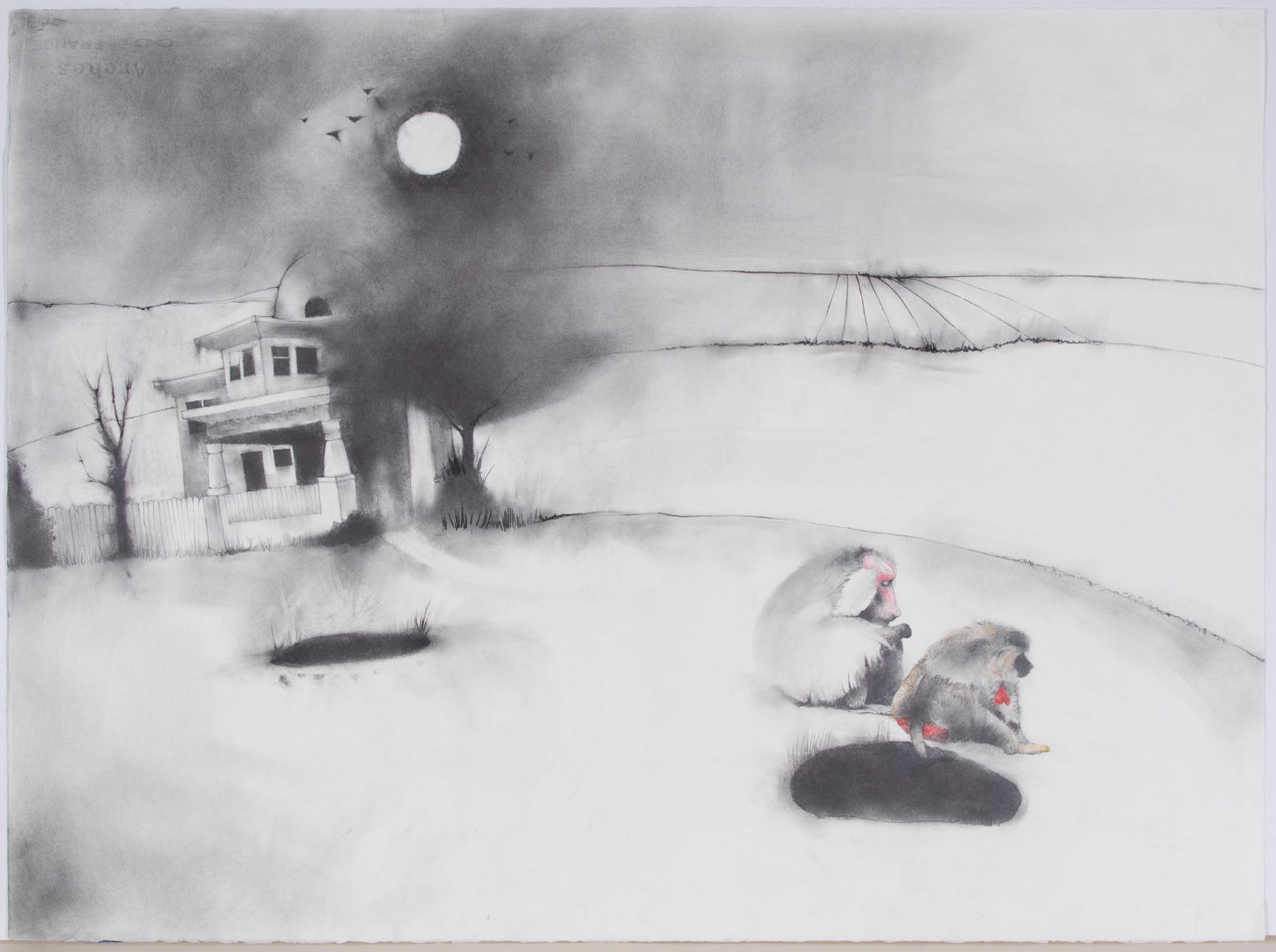 Allison Hawkins  (b. 1978) American (1 of 2)