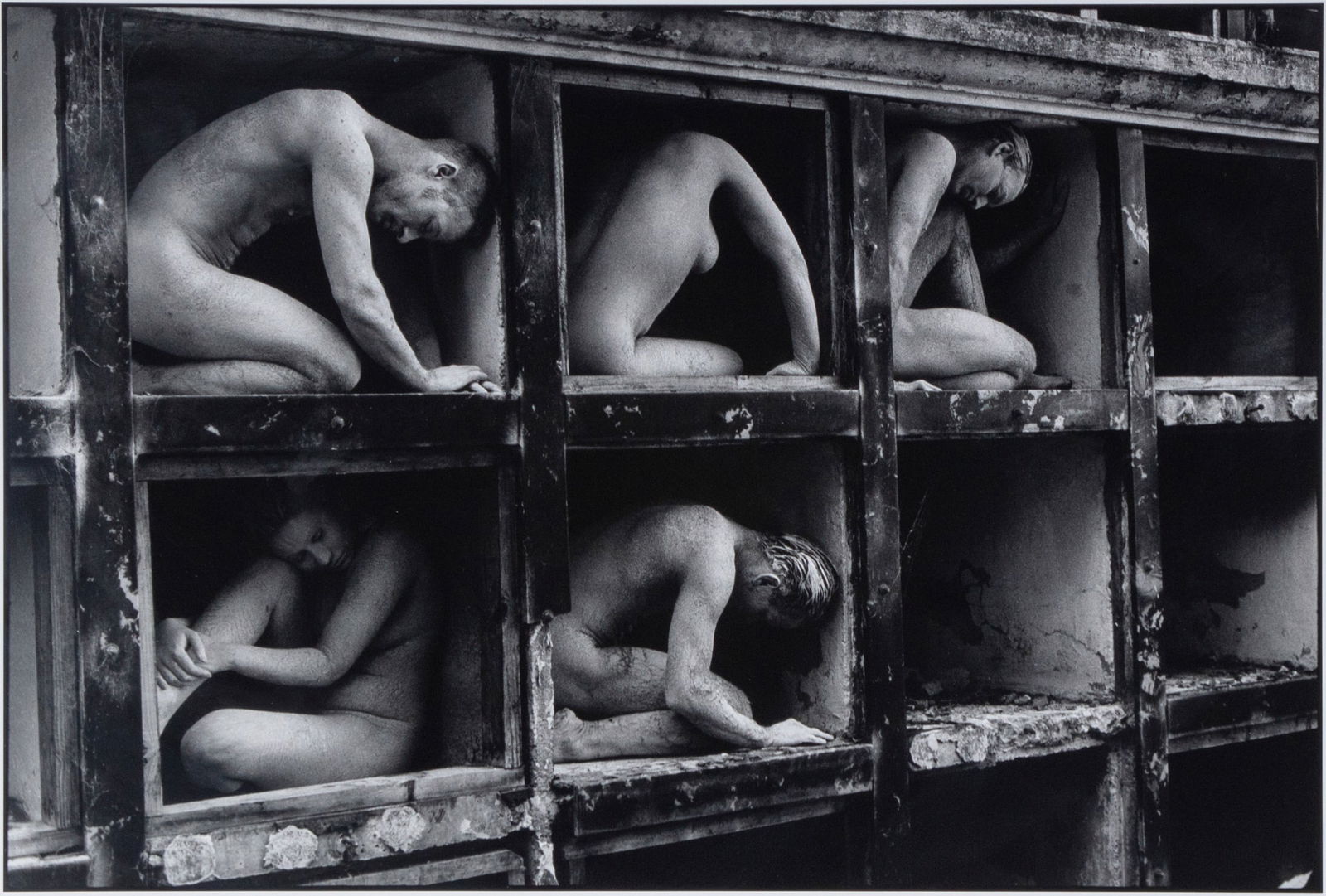 Nina Glaser  (b. 1955) New Mexico (1 of 5)