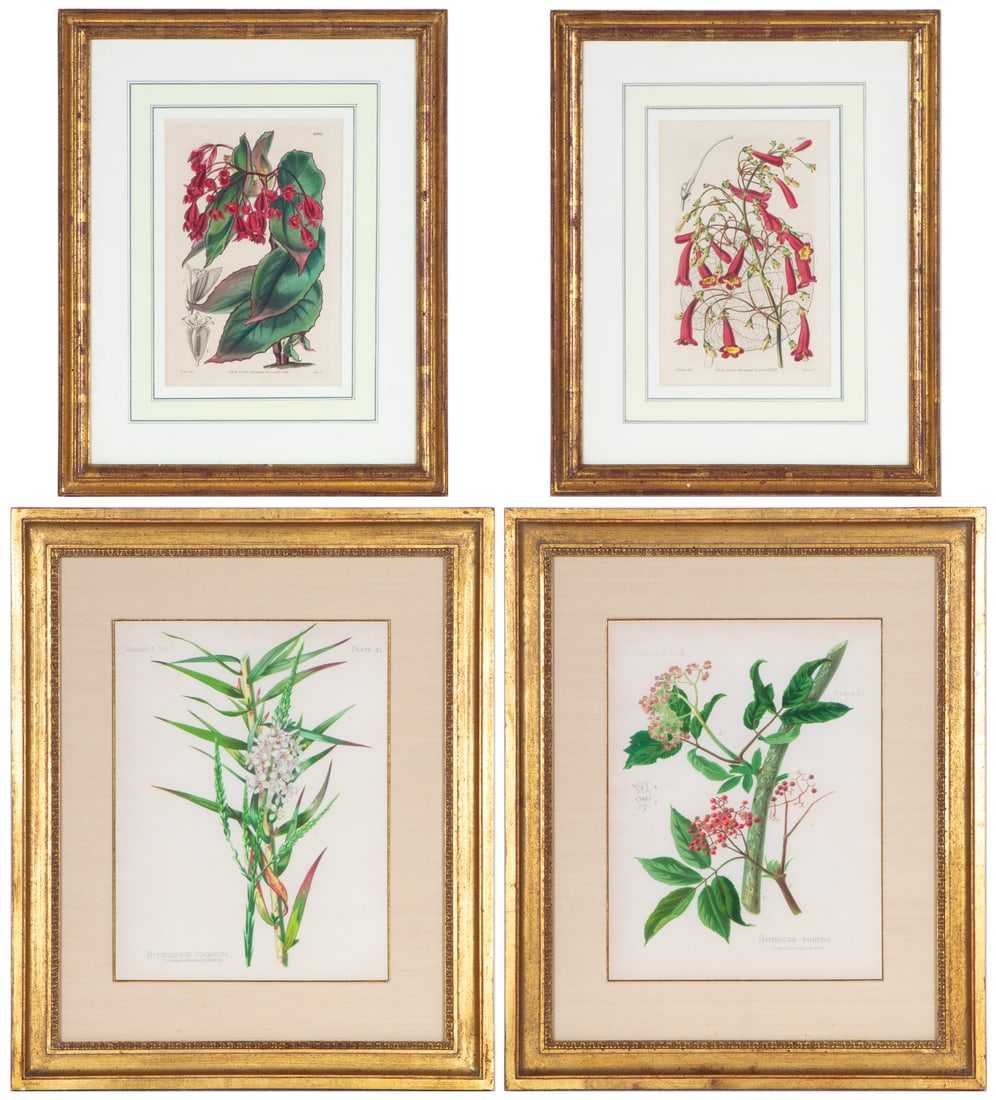 Botanical Prints by  Joseph Swan  (1796-1872) Glasglow (2) & others  (four) (1 of 3)