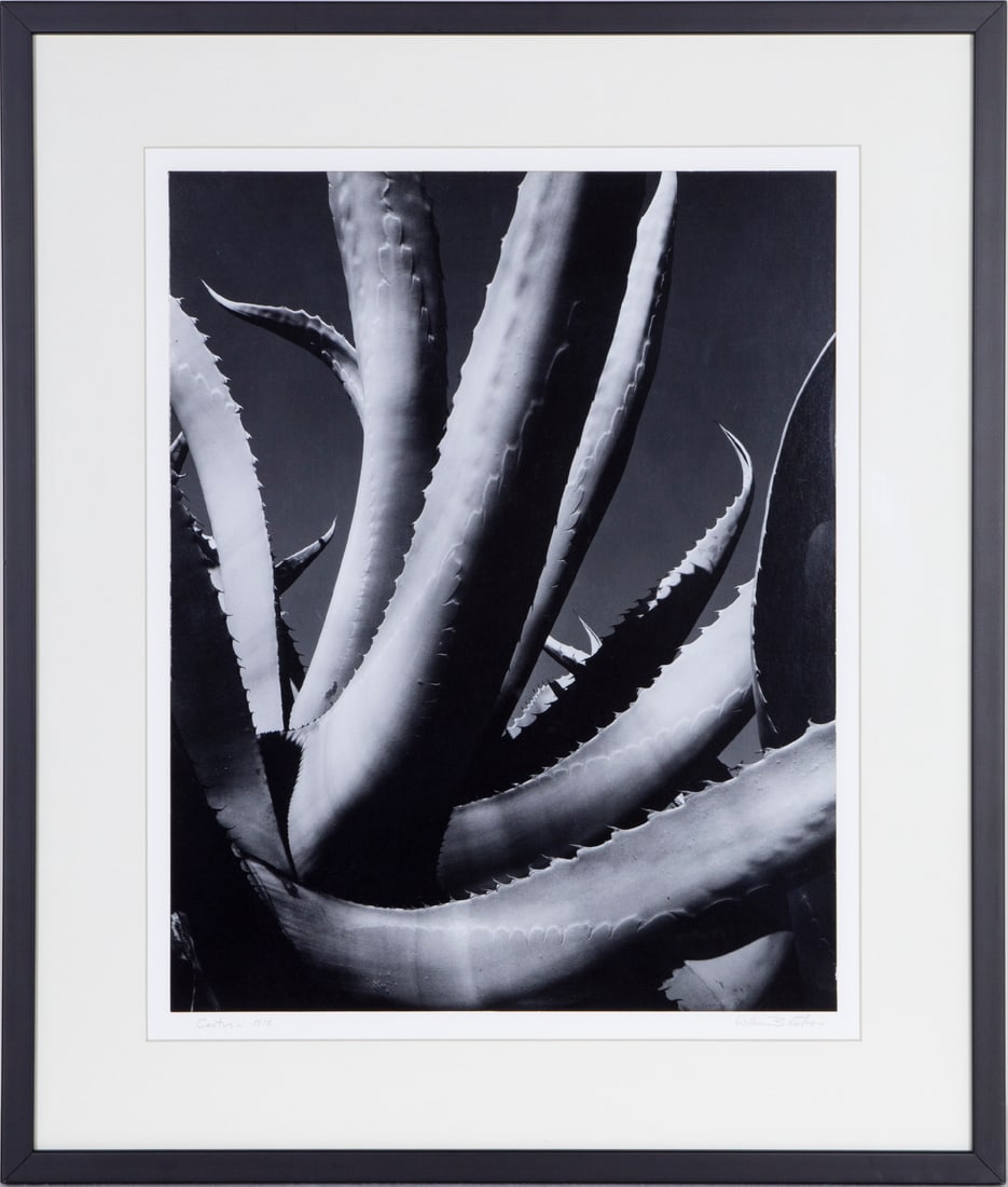 William B. Giles  (1934-1924) American (1 of 4)