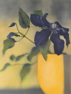 Brigitte Carnochan (b. 1941) German American: CLEMATIS, 2002, gelatin silver print with hand-coloring, signed and numbered 5/50 in pencil, image 12 x 9”, sight 12 ½ x 9 ¾”, frame 21 ¼ x 17 ¼’ with