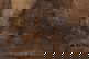 item-208769163=3