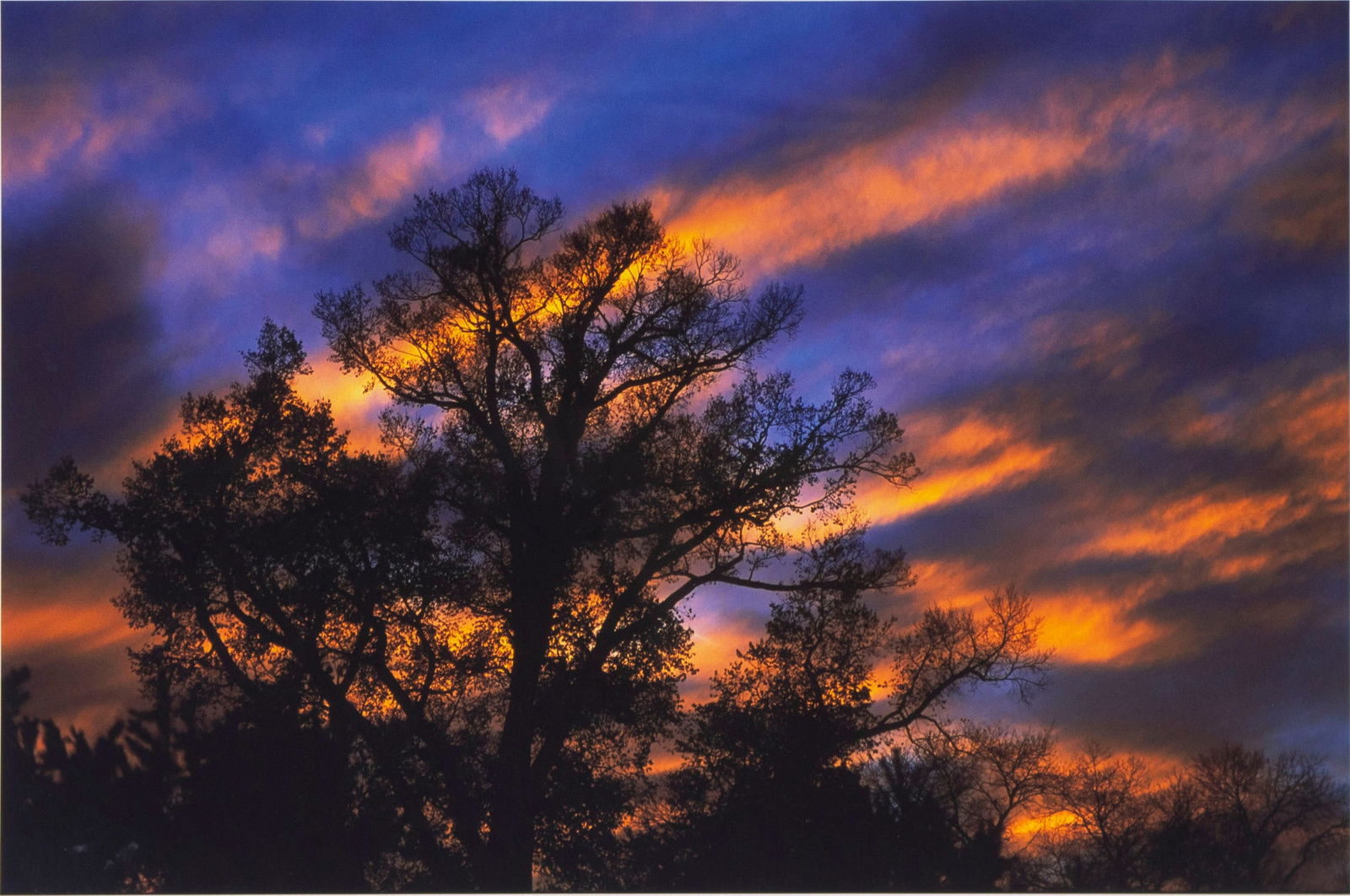 Richard Ehrlich  (b. 1938) New York (1 of 4)