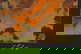 item-208769183=3