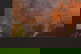 item-208769183=5