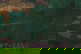 item-208769210=5