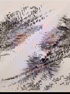 Debra Hampton  (20 th / 21 st  Century) California New York: THE PEACEMAKER, 2007, ink, collage and mixed media on paper, a signature not found, probably signed on the verso, 30 x 22 &frac12;&rdquo;, frame 34 &frac12; x 26 &frac34;&rdquo; with plexiglass.