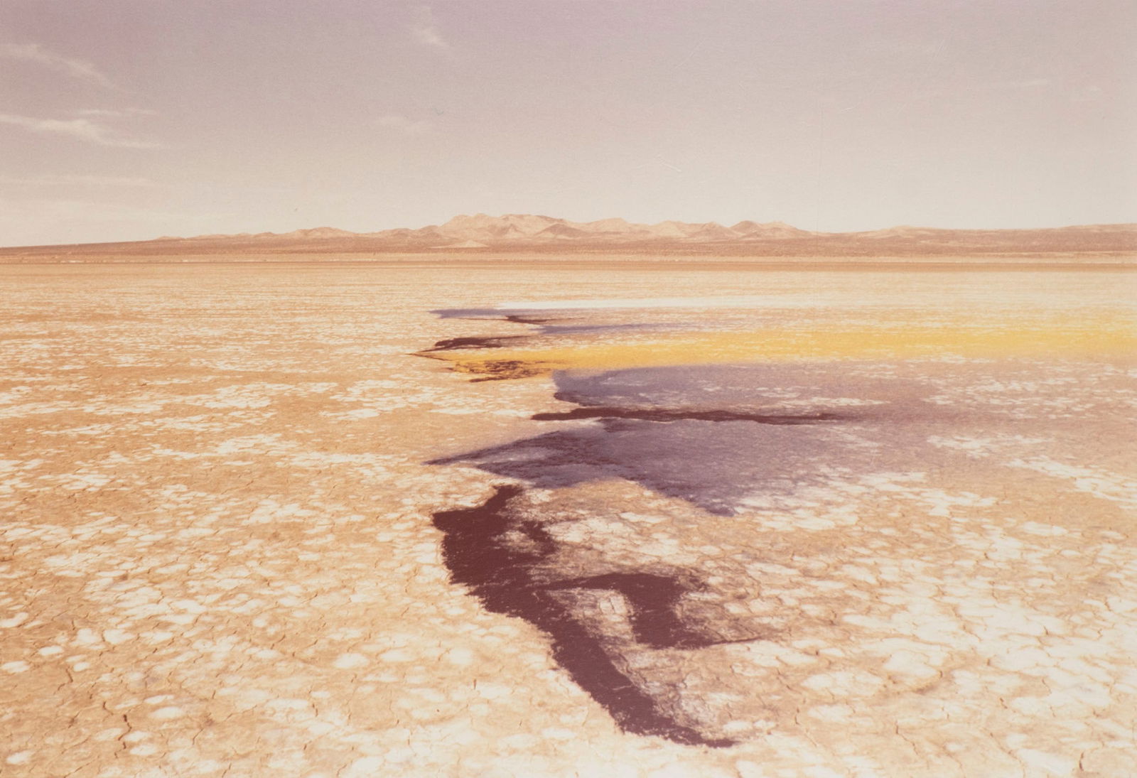 Lita Albuquerque  (b. 1946) California (1 of 5)