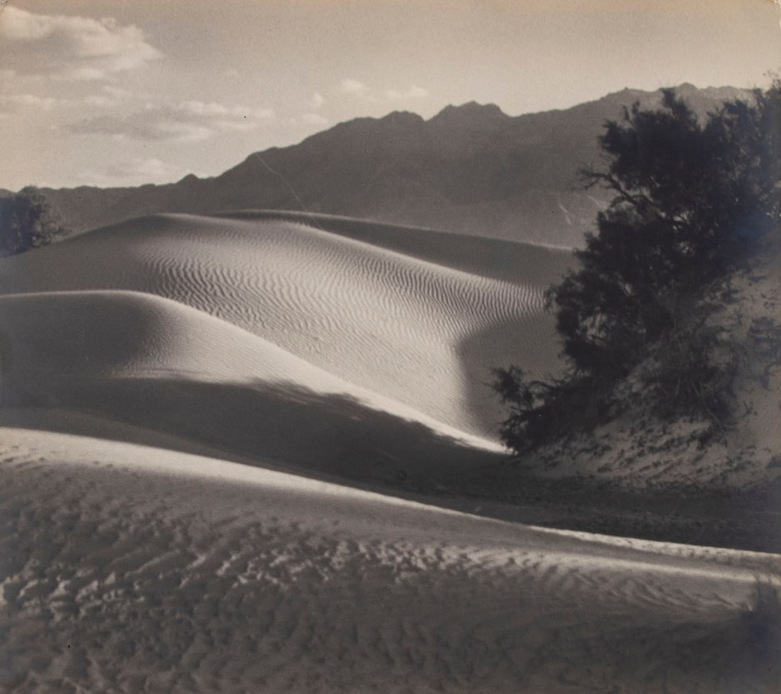 Floyd B. Evans (1890-1966) American: NATURE’S SPOTLIGHT, circa 1940, bromide print, signed in pencil on the mount, image 14 x 16”, mount 20 x 16” with exhibition label affixed to the mount verso with artist’s name, addres