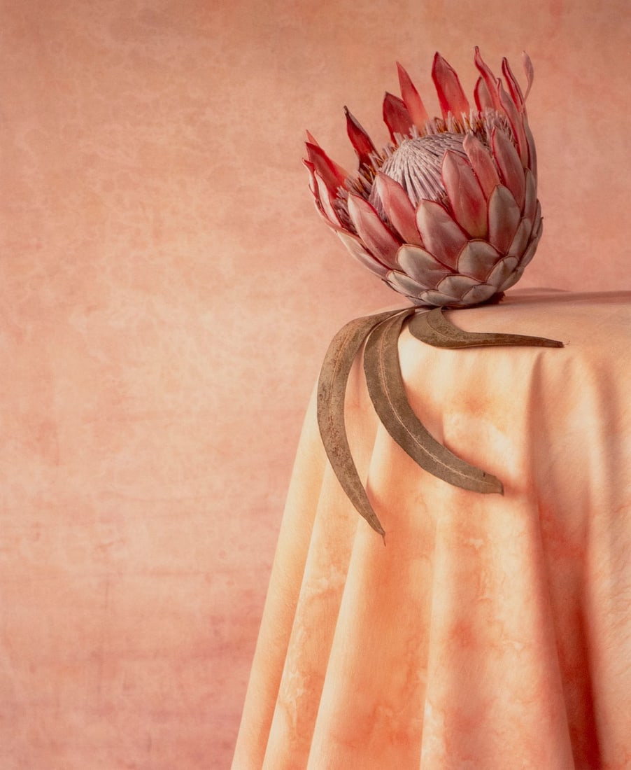 Masatomo Kuriya  (b. 1955) Japan (1 of 5)