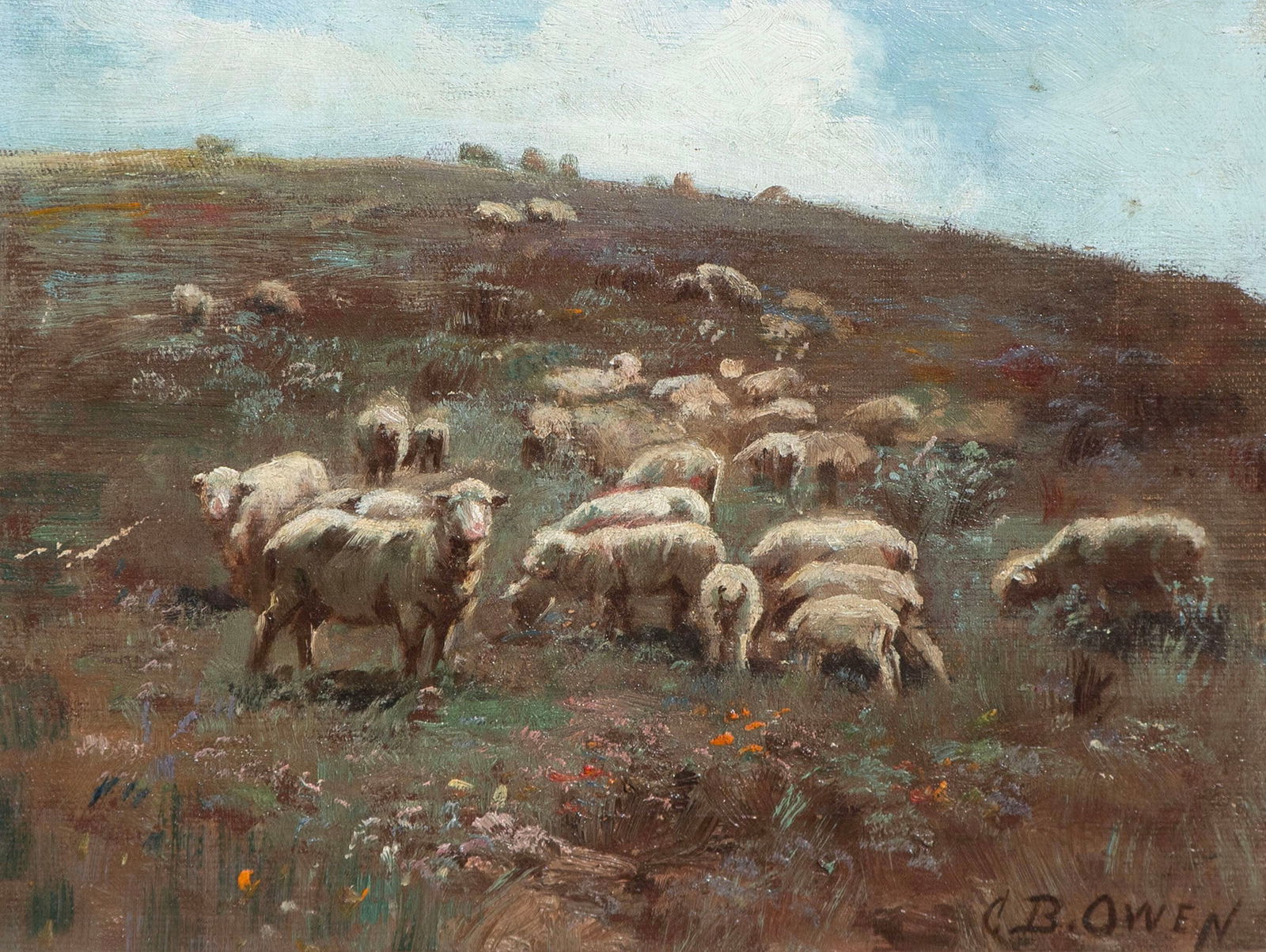 Clara Belle Owen (1854-1955) Pasadena: SHEEP, oil painting on canvas board, signed lower right, 10 x 13”, frame 14 ¾ x 17 ¾”.