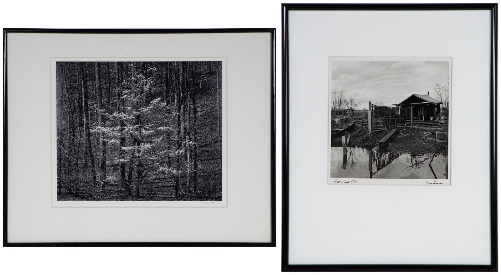 Henry Gilpin (1922-2011) Monterey Californian & Turner Browne (b. 1949) Louisiana (two): Henry Gilpin UNTITLED FORREST, 1986, gelatin silver print artist mounted to museum board, signed lower in pencil lower right on board, stamped and dated and copyrighted and with file number 2-2795 on 