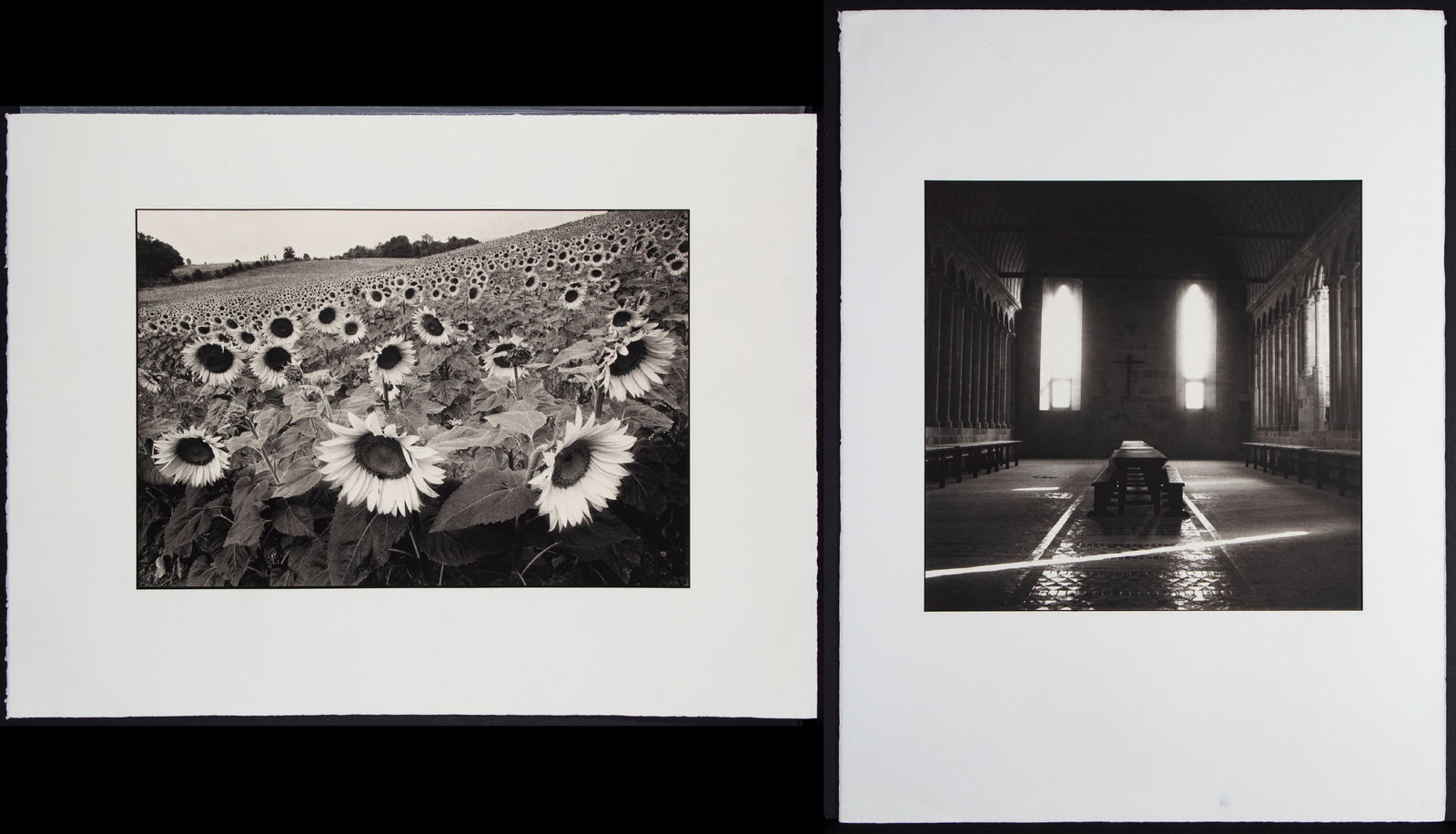 Charles Roffe (1952-2017) British (two): SUNFLOWER IN SOUTH OF FRANCE, 1997, platinum/palladium print, signed, dated, titled and numbered 16/25 in pencil on verso; MONT SAINT MICHEL IN FRANCE, 1997, platinum print, signed, dated, titled and
