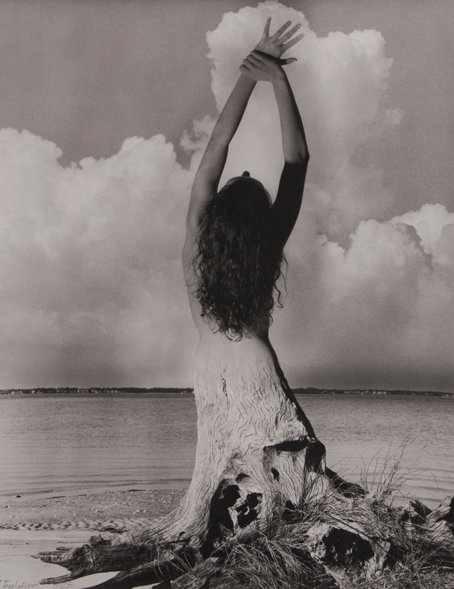 Patrick R. Howard (20th/ 21st Century) American: EVOLUTION, 2004, gelatin silver print, signed and titled and numbered 14/125 in pencil recto, artist’s stamp and signed and numbered 14/125 in pencil on verso, 14 x 11”.