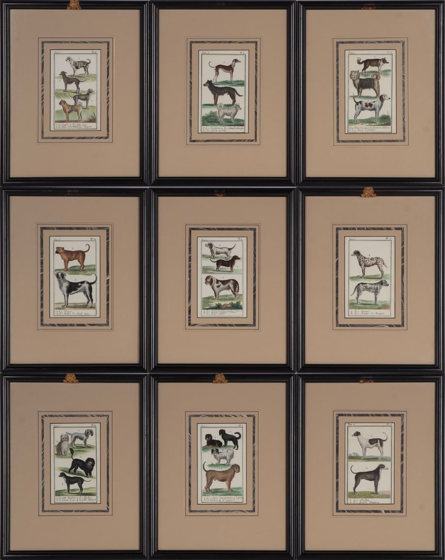 Georges-Louis Leclerc, Comte de Buffon (1707-1788) French Naturalist (nine): Histoire Naturelle, 1786, Canines, nine hand-colored engravings with good strong impressions and colors, frames average 13.25 x 10.50? with glass. (9) A lovely collection of vintage dog prints.