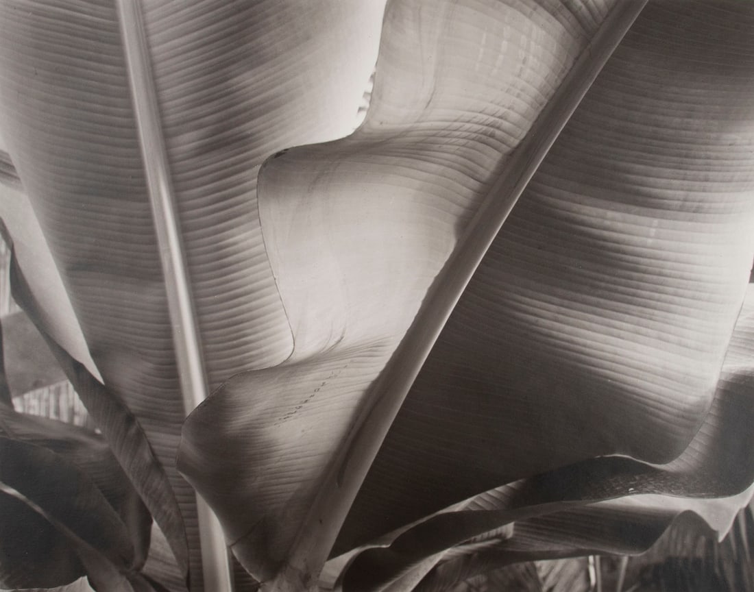 Guido Orsini (b. 1952) Italian (1 of 2)