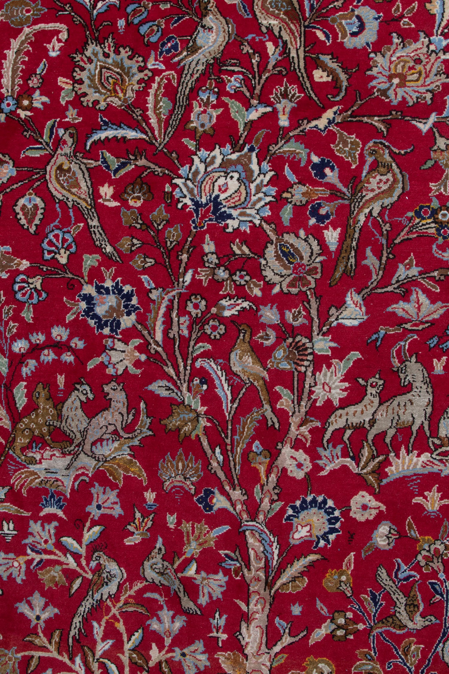 Persian Rug - 5