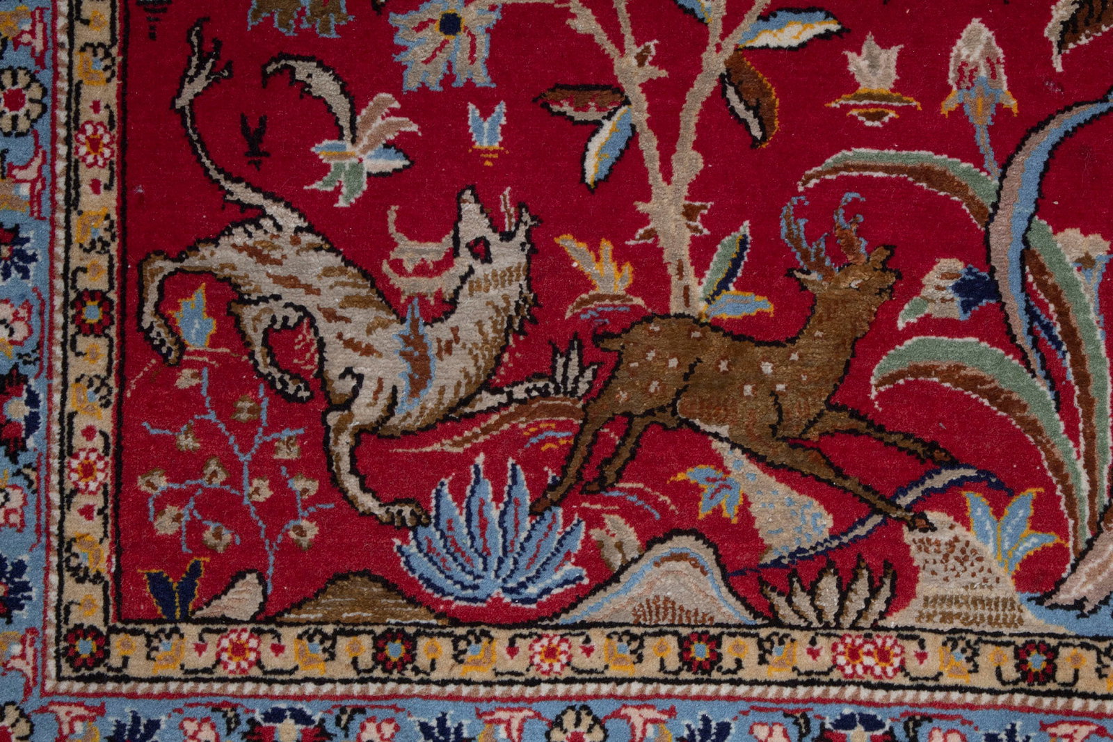 Persian Rug - 6