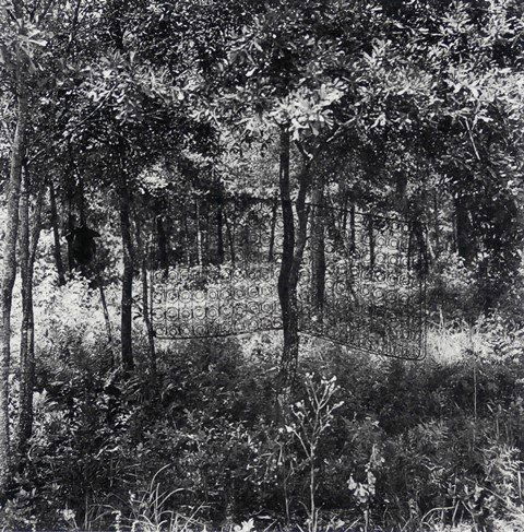Carrie Mae Weems (b. 1953) African American: SEA ISLAND SERIES, 1995, photo-screenprint, signed in pencil, from the numbered edition 75, image 16 x 15 ¾”, full margins, framed, in apparently very good condition.