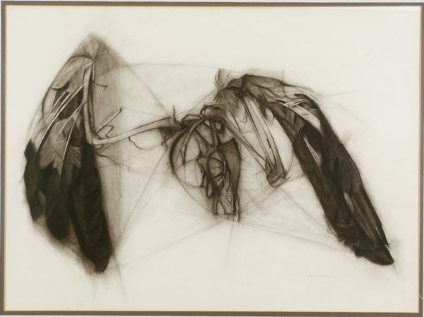 Marie-Anne Krugier Poniatowska (b.1931) French American: UNTITLED STUDY WING ANATOMY, 1961, color charcoal drawing with color pastel highlight on paper, signed and dated lower right, sight 27 x 37”, framed, some soft creases, smudges and fingerprints, sli