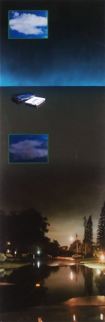 Dike Blair (20th/ 21st Century) American: ECHOLALIA, 1988, photograph with enamel and oil paint and epoxy on glass mounted to aluminum framing, 72 x 24”, small crack lower right corner, small surface chip lower left corner, otherwise in goo