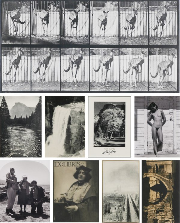 Photography: Eadweard Muybridge, Ansel Adams, James: Eadweard Muybridge, ANIMAL LOCOMOTION, plate 754, copyright 1887, collotype, sheet 19 x 24”, scuffs and smudges, two 1 ½” tears lower sheet edge; Ansel Adams, AUTUMN IN YOSEMITE, 1947, menu print