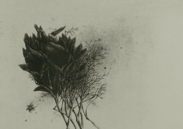 Soichi Bando (b. 1937) Japanese (1 of 1)