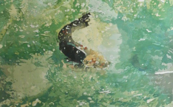 Joseph Raffael  (b. 1933) New York (1 of 2)