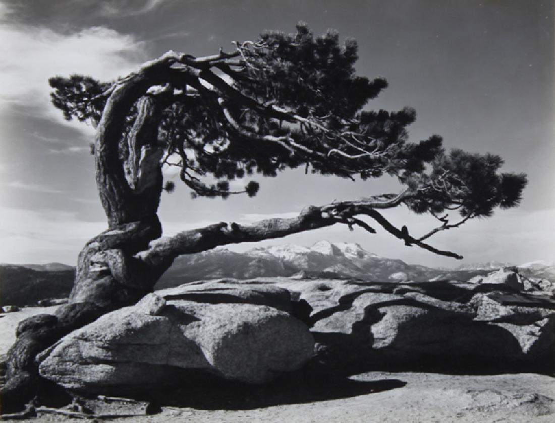 Ansel Adams (1902-1984) California (1 of 2)