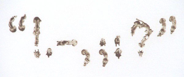 William Wegman (b.1943) American: PUNCTUATION (with Fay Ray and pups, Battina, Crooky & Chundo the heirs of Man Ray), 1997, photogravure, signed in pencil, from the numbered edition 100, image 10 ½ x 16 ½", full margins, printed by