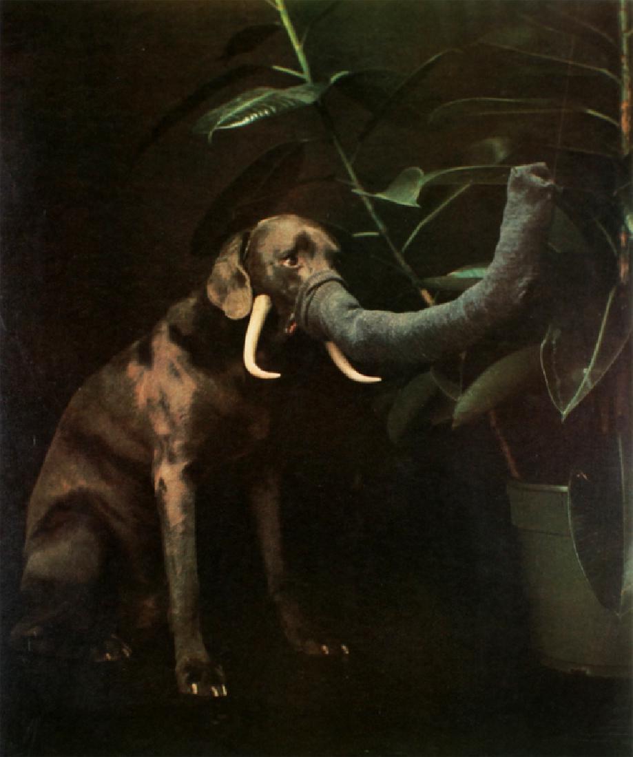 William Wegman (b. 1943) New York (1 of 1)